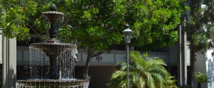 fountain, pacific coast osteopathy, CA, california